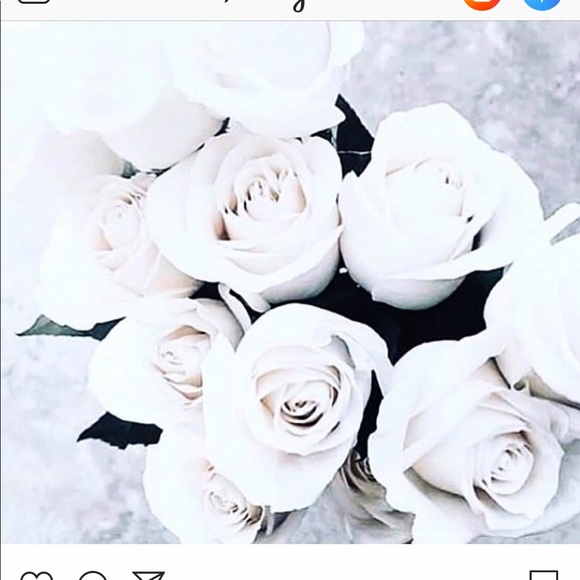 Meet your Posher,Zahra - Picture 1 of 1